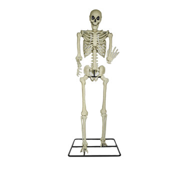 Partyline Groot Halloween skelet 320 cm