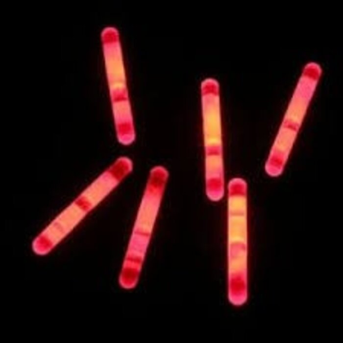 Breaklight.be 1 1/2 Mini Glow stick Rood