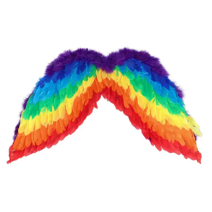 Boland Regenboog Engelenset – Diadeem Halo & Vleugels voor Pride, Carnaval of Festival