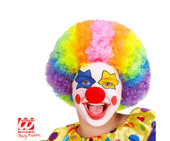Perruque Enfant Clown Multicolore