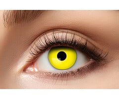 Zoelibat - Eyecatcher Yellow Contact Lenses – Weekly Halloween Monster Eyes