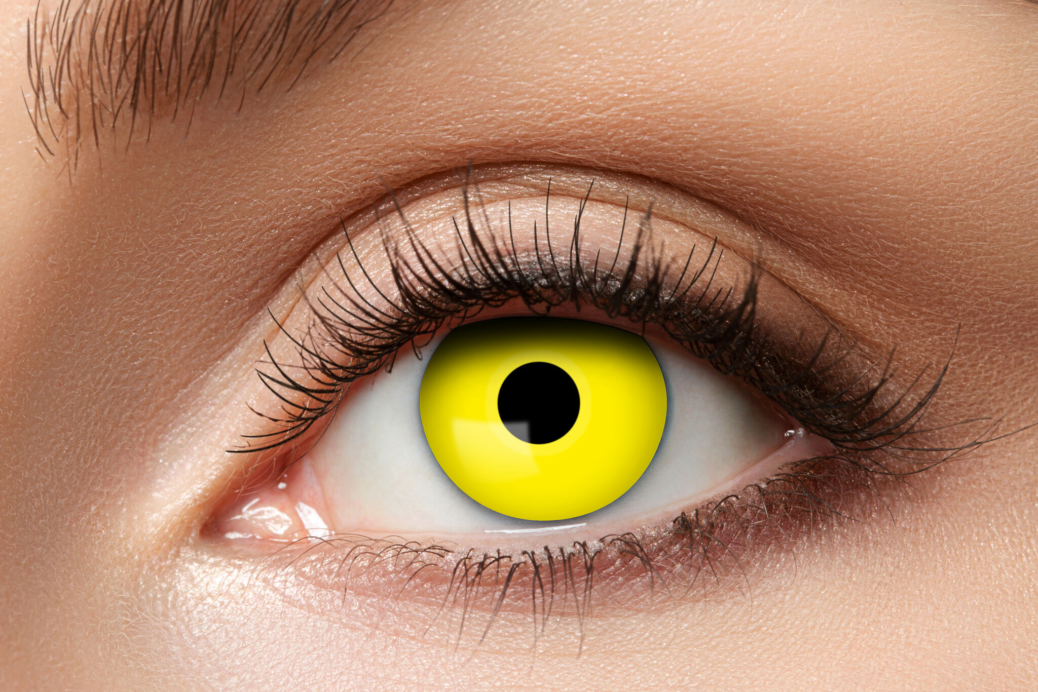 Eyecatcher Lentilles de Couleur Jaunes – Sans Correction – Pour Sorcières, Monstres et Cosplay Halloween
