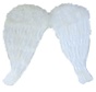 White Angel Wings 52x48 cm