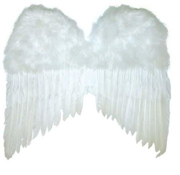 Partyline Ailes blanches 50x42 cm | Ailes d'anges