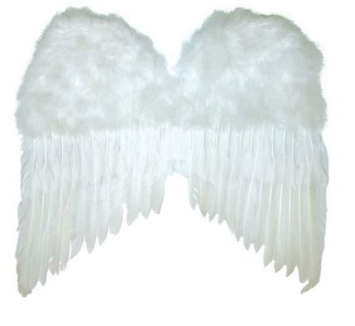 Partyline Ailes blanches 50x42 cm | Ailes d'anges