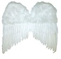 White Wings 50x42 cm | Angel Wings