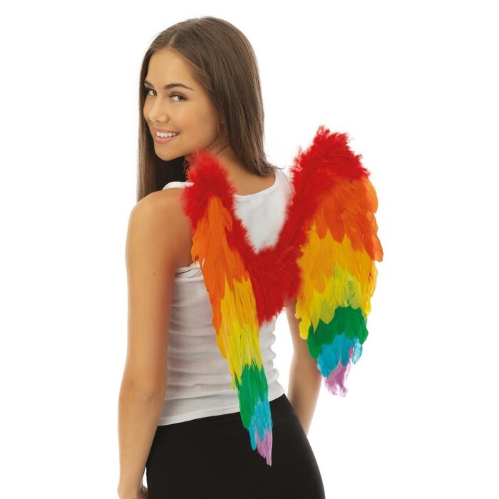 Ptit Clown Ailes d’Ange Plumes 50×50 cm – Multicolore – Accessoire de Costume