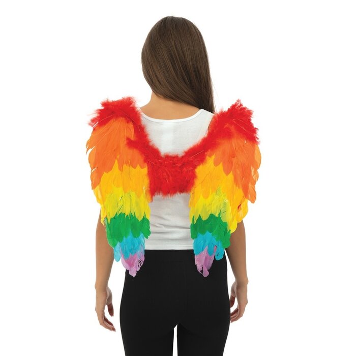 Ptit Clown Ailes d’Ange Plumes 50×50 cm – Multicolore – Accessoire de Costume