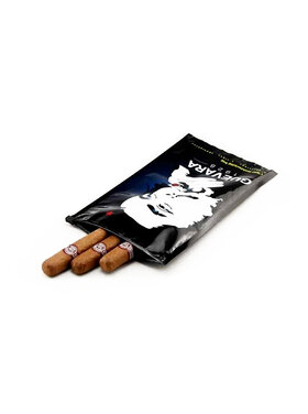 Graziani Humidity Zipbag 3-5 Zigarren