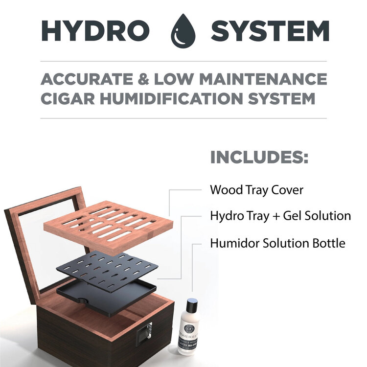 Klaro  Kingston Carbon-Humidor 30 Zigarren