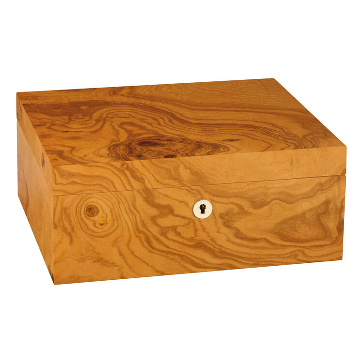 Adorini Humidor Salento Olivenholz Medium Deluxe für 75 Zigarren