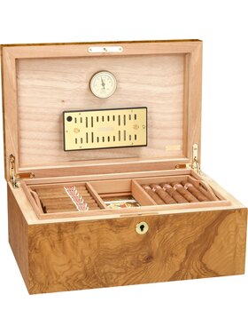 Adorini Humidor Salento Olivenholz Medium Deluxe für 75 Zigarren