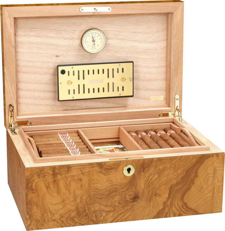 Adorini Humidor Salento Olivenholz Medium Deluxe für 75 Zigarren