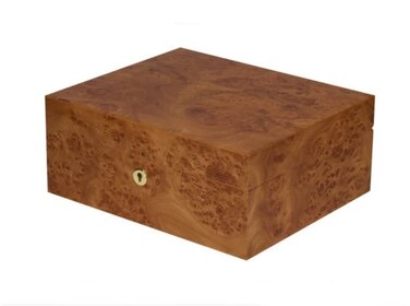 Adorini Humidor Catania Medium Deluxe Ulme für 75 Zigarren