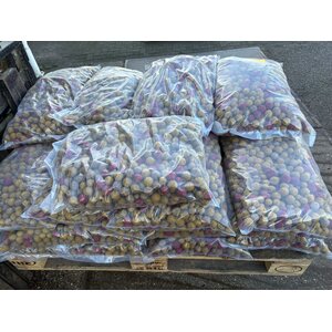 DBC Mixed Bag – 10KG