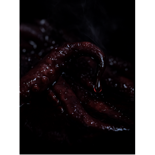 Sea Dweller – Full Marine - Team