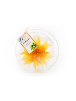 MadCandle Bougie Fleur Gros Citron