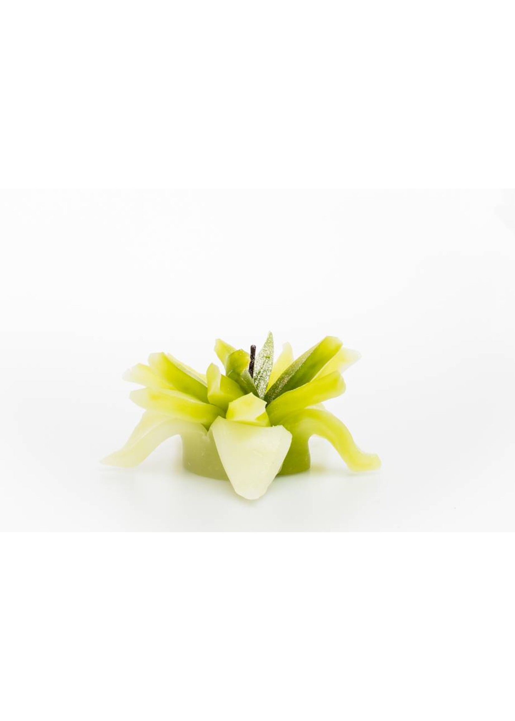 MadCandle Flower candle medium apple