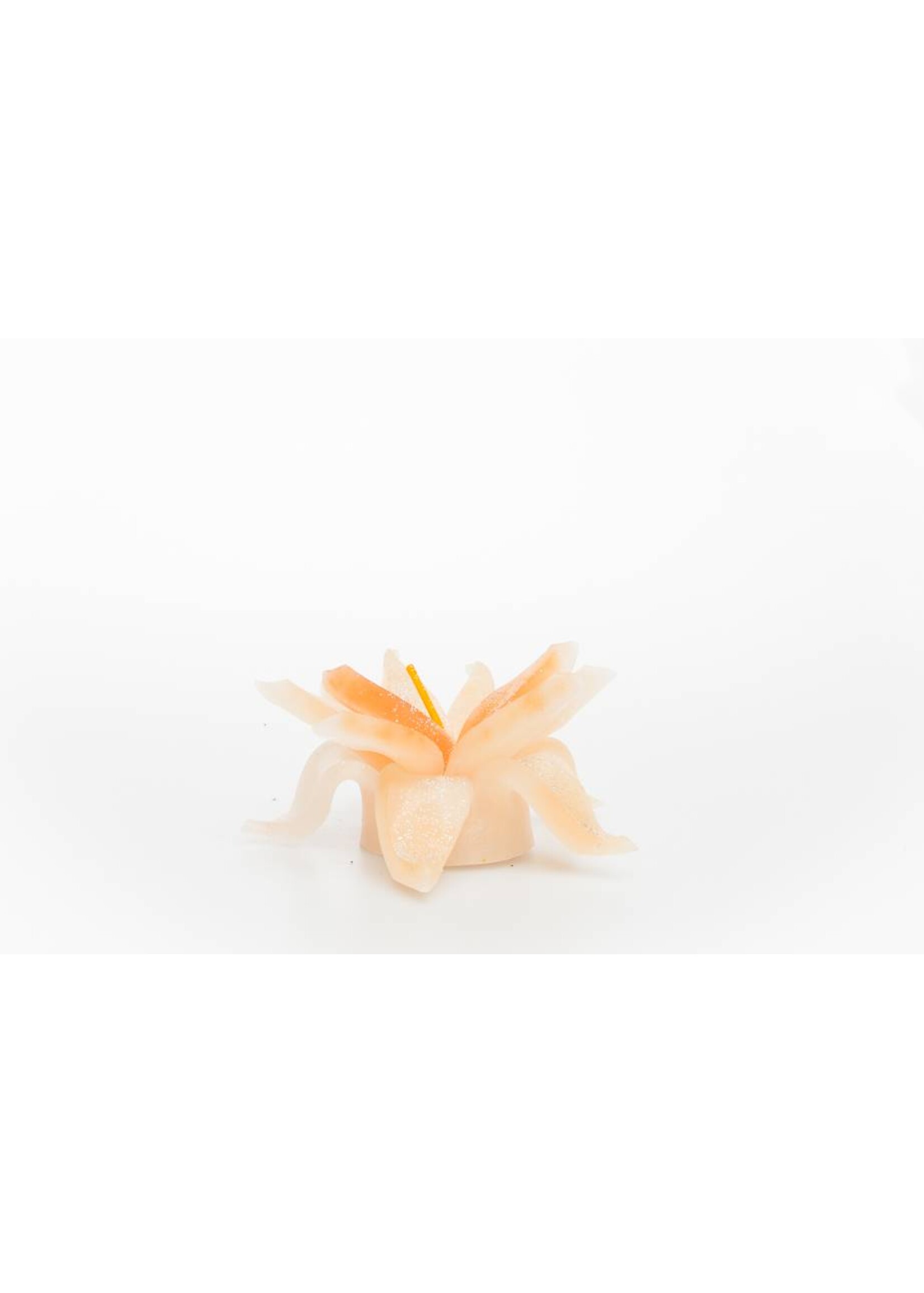 MadCandle Flower candle small vanilla