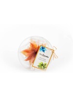 MadCandle Bougie Fleur Petite Cannelle