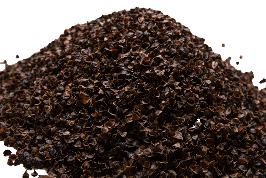 buckwheat husk filling