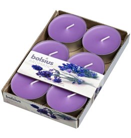 Bolsius kaarsen French lavender maxi fragrance tealight 8 hours