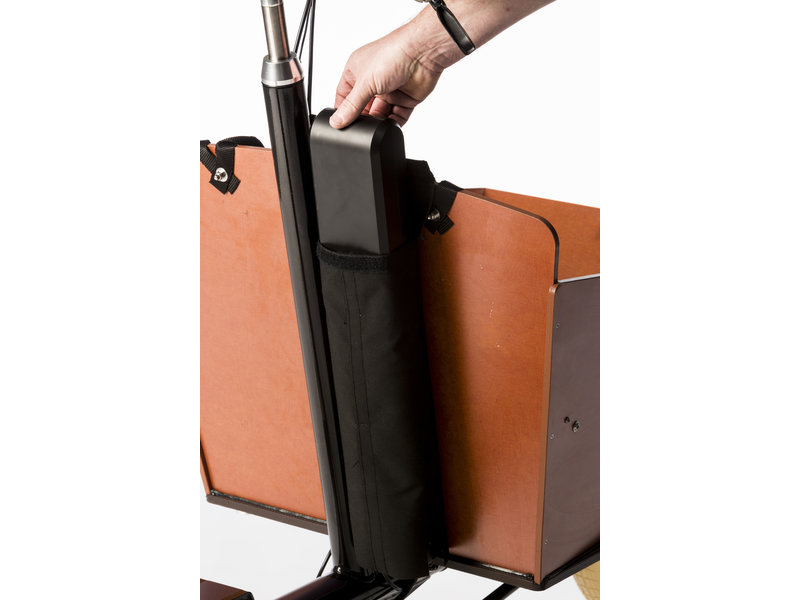 cargobike cruiser long steps