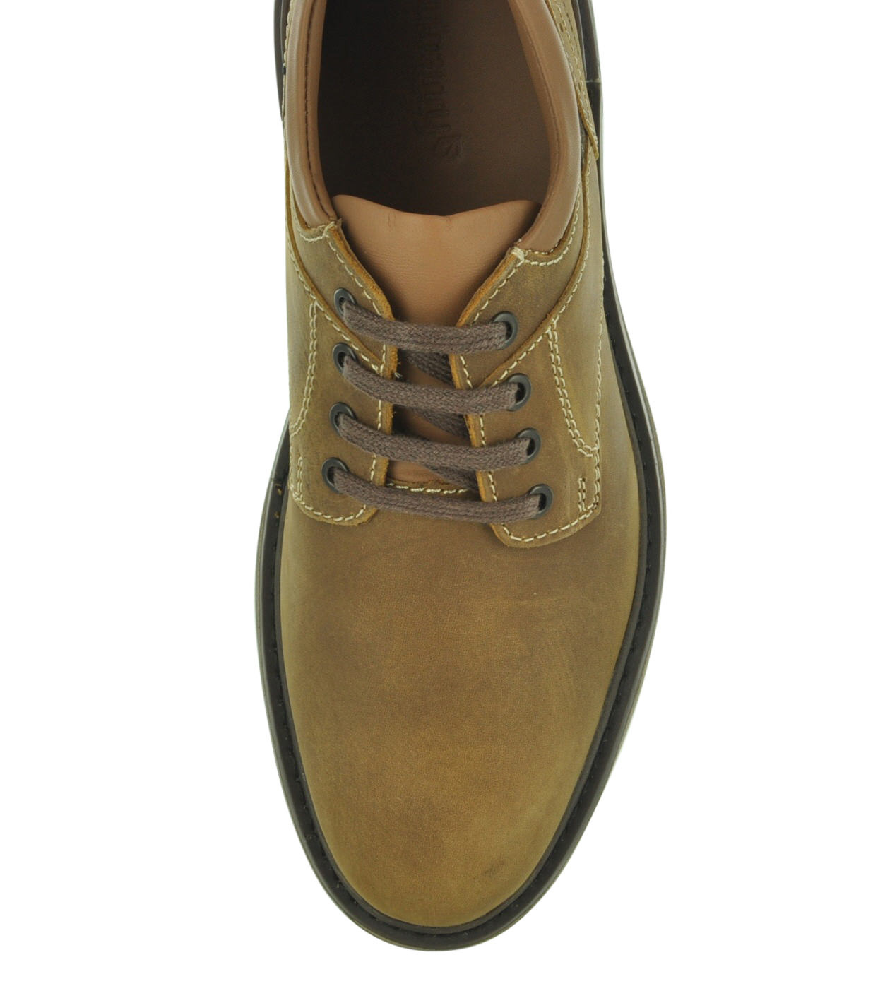 Dubarry Brooks 4947 Men's Casual Shoes 