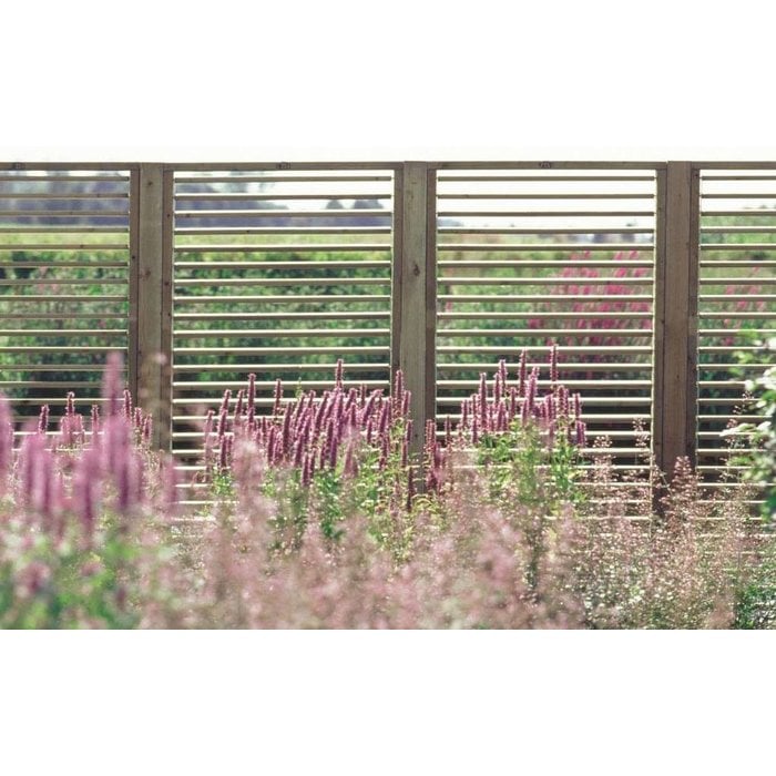 Hillhout Hillhout Shutterscherm Excellent 90