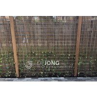 Heidemat Classic op rol H100 x L500 cm Heidemat Classic op rol H100 x L500 cm