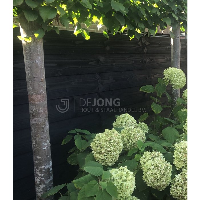 Douglas Zweeds Rabat 70% PEFC 19.5 cm - 2 x zwart gespoten