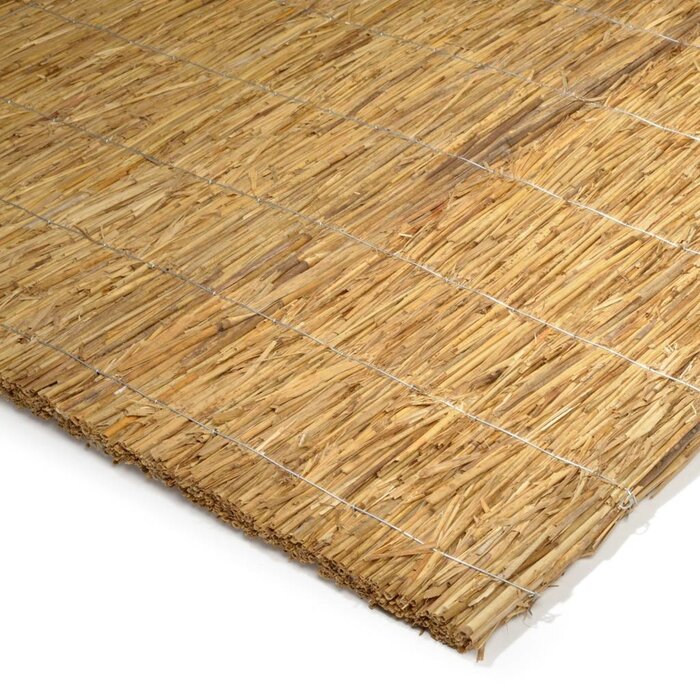 Rietplaat / Rietscherm Nagy 2.5 cm - H200 x B200 cm