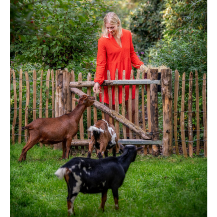 Kastanjehout poort B120 x H120 cm compleet met palen en beslag