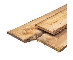 Douglas schaaldeel ca. 1,8 x 15/20 cm