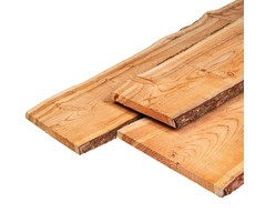 Douglas XL schaaldeel ca. 2,5 x 25/30 cm