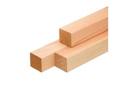 Lariks Douglas paal 70% PEFC 9 x 9 cm GESCHAAFD