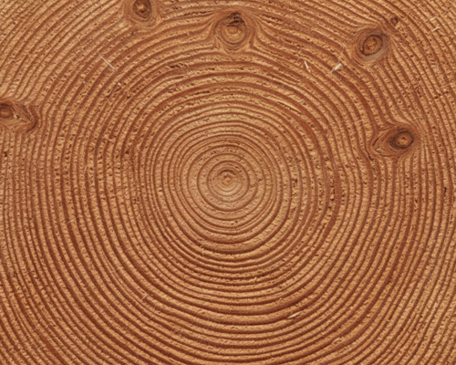 Wat zijn de voor- en nadelen van douglas hout?