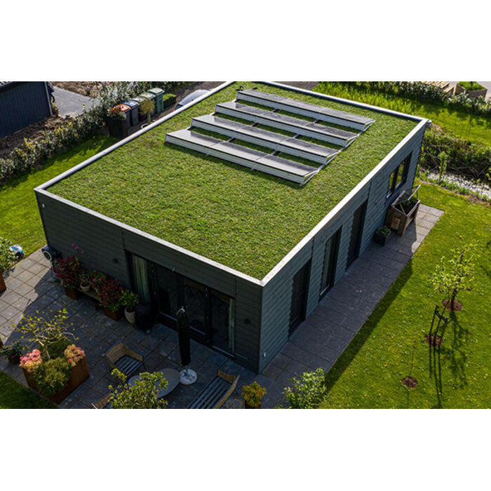 Sedum dakbedekking 50 x 50 x 6 cm.