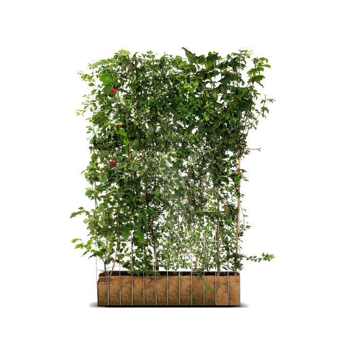 Mobilane Kant en klaar haag  ECO haag B120 x H180 cm.