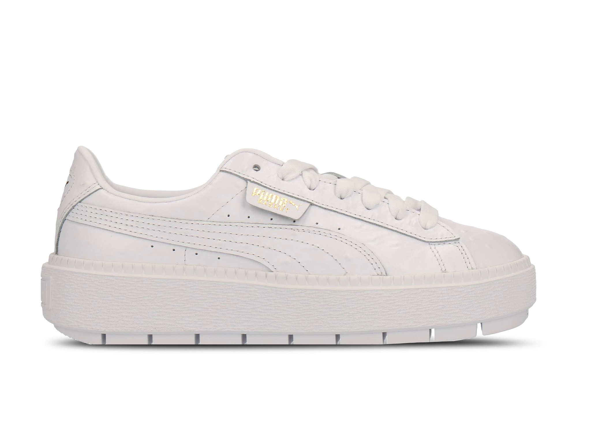 platform trace ostrich