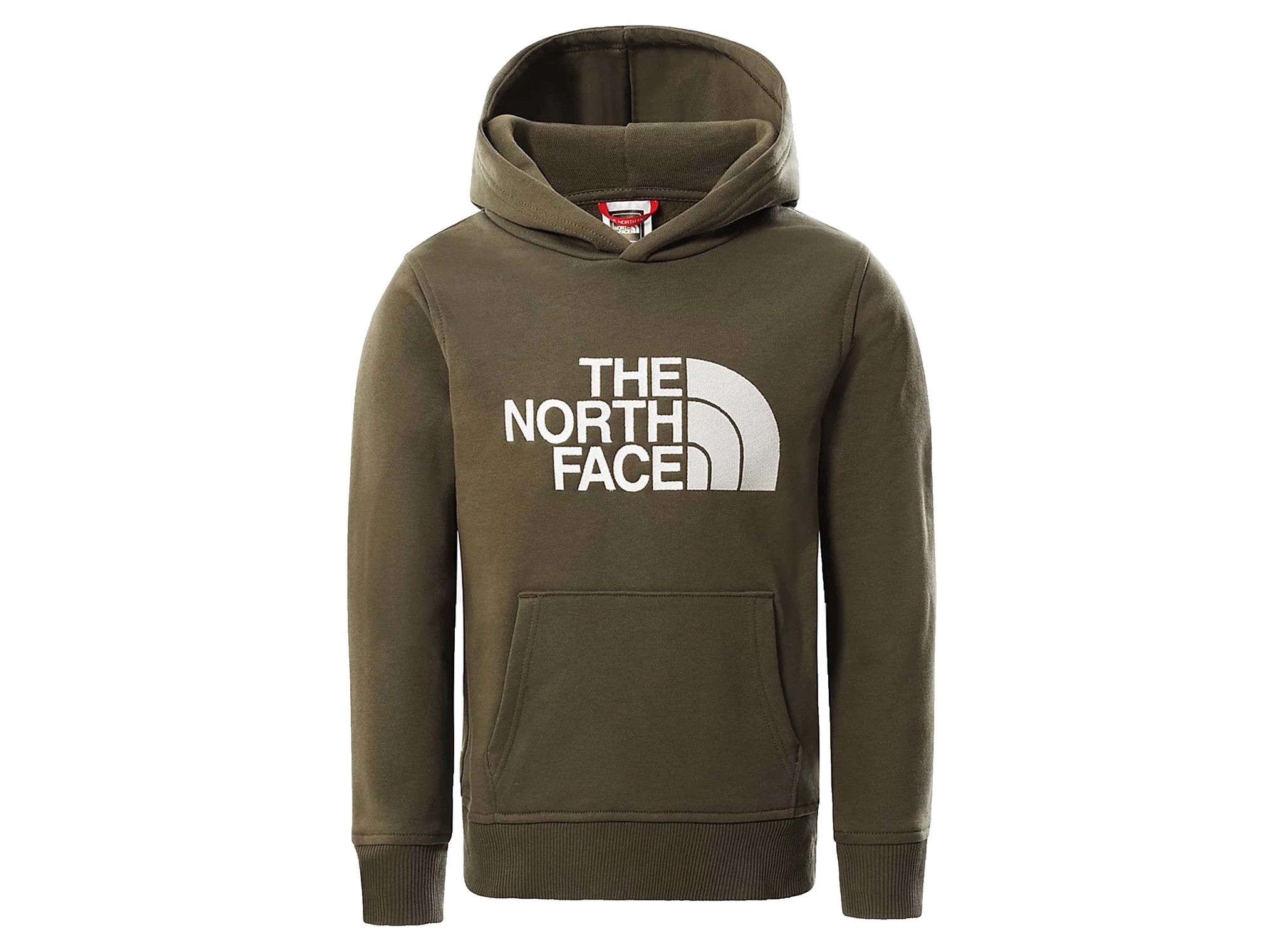 The North Face Y Drew Peak PO Hoodie Kids Taupe Green TNF White | Online Shop - Bruut