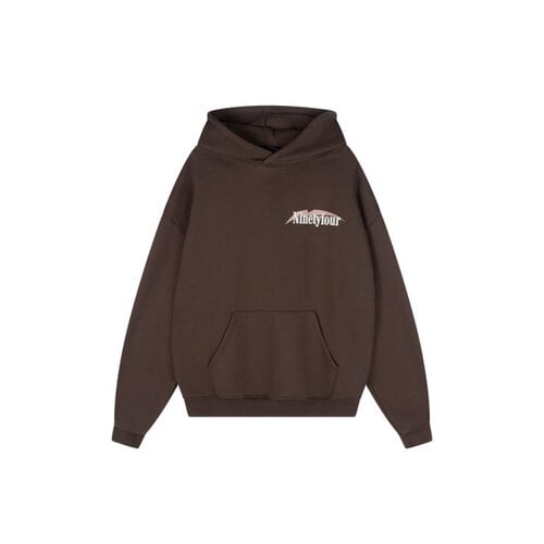 NTFR Birdz Hoodie Brown NNTF88