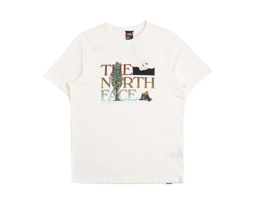 The North Face M Seasonal Graphic Tee Gardenia White  NF0A7X1ON3N