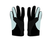 Clan de Banlieue B+ Gloves Black Corydalis Blue BPLUS-FW23-ACC05