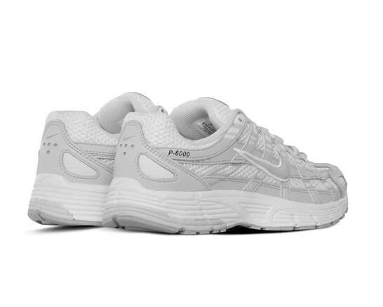 Nike W P 6000 SE Summit White Wolf Grey IF1756 100