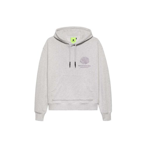 Sprayed Logo Hoodie Ash 2504003001