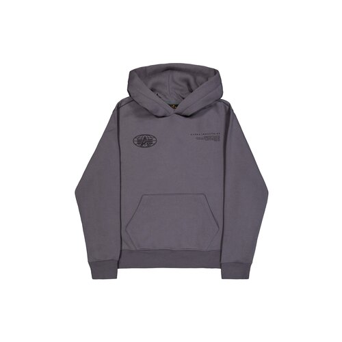World Logo BP Hoodie Vintage Grey 258337 684