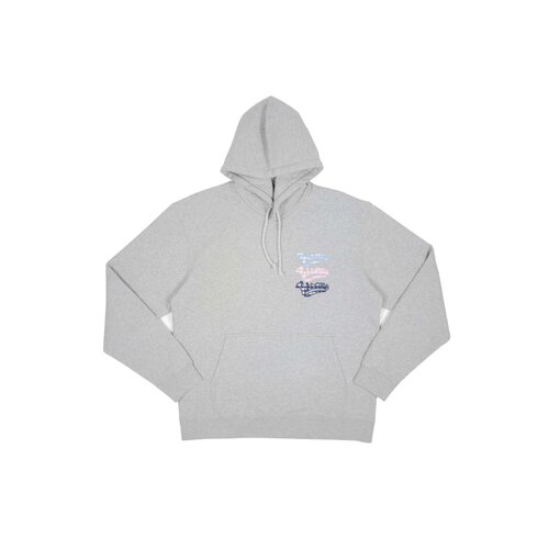 Hoodie Gianni Vichy Sport Grey FW25 30