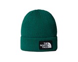The North Face Logo Box Cuffed Beanie Evergreen NF0A8CHENL1
