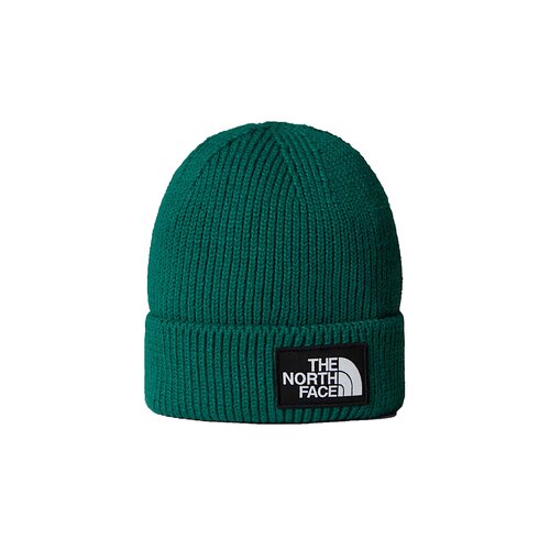 Logo Box Cuffed Beanie Evergreen NF0A8CHENL1